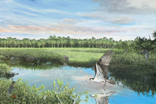 Florida's Wild Beauty - Canvas Print